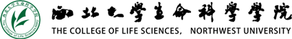 必赢net.95